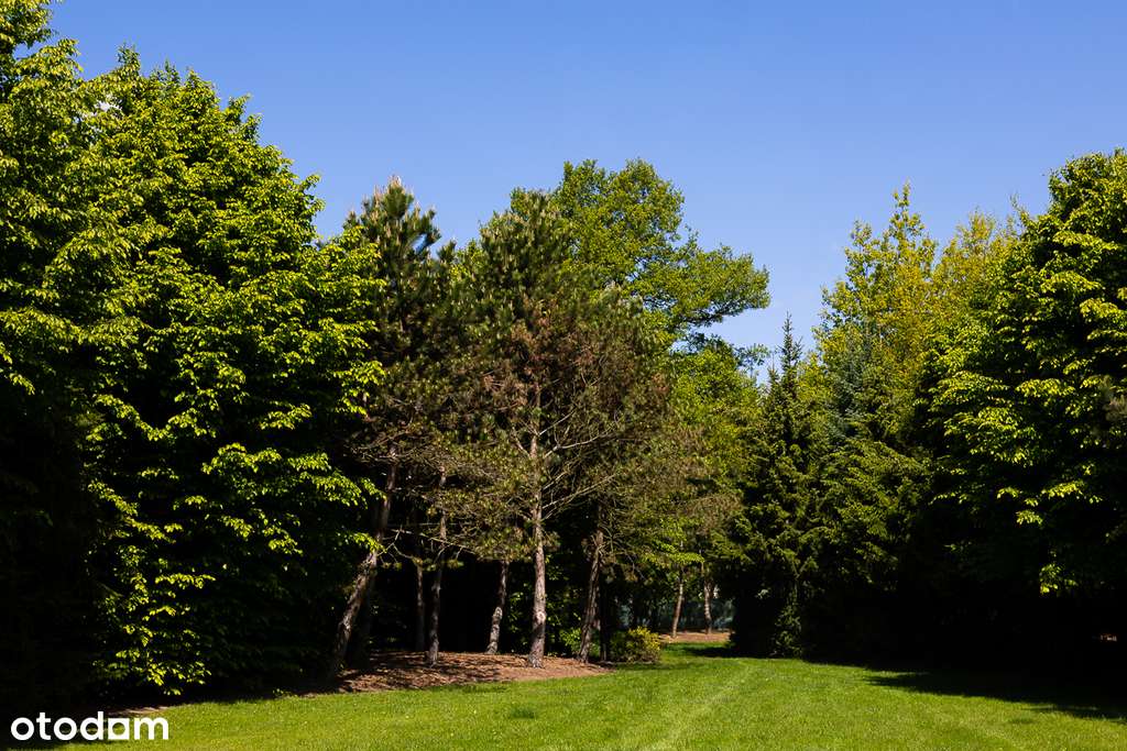 Duży dom wolnostojący z pięknym ogrodem w Łodzi - Pełny obrazek: 5/20