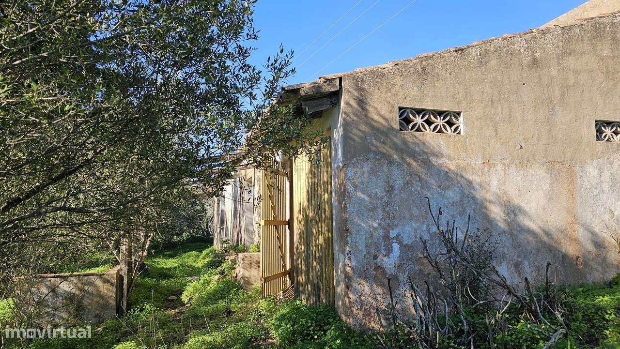 Quinta em Lagos, Praia da Luz,  46.000 m2, 2 casas e 2 Armazéns-15