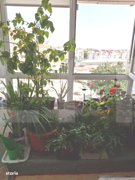 De vanzare – Apartament 2 camere, ultra-central, Botosani - Imagine principală: 5/6