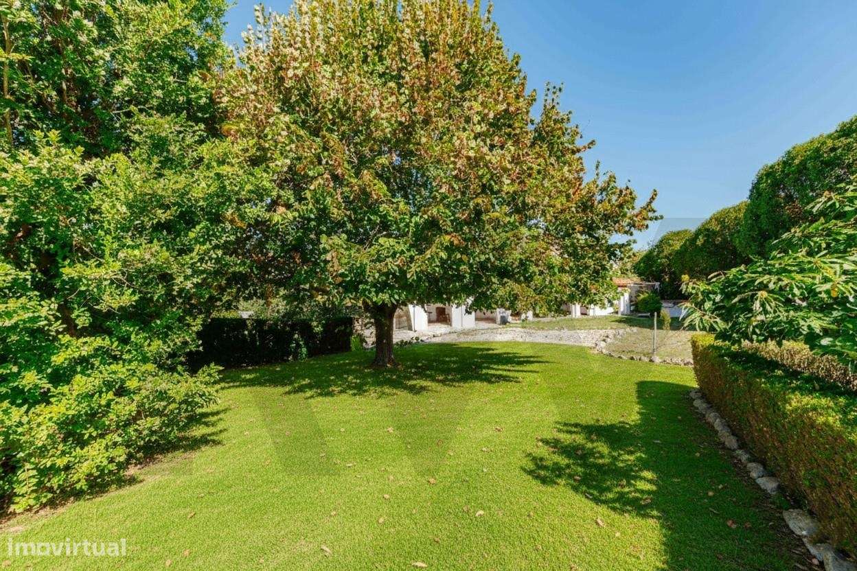 Moradia T6 no centro de Mafra - Grande imagem: 4/30