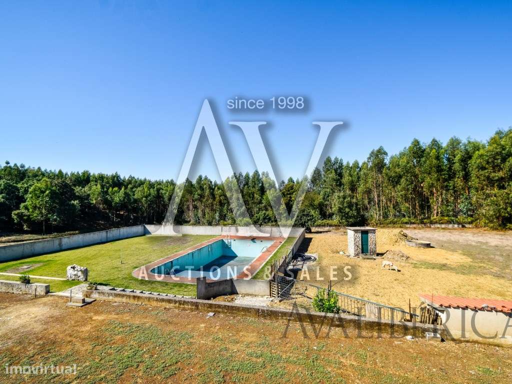 Quinta com 3,14 Hectares e Piscina | Ferreira do Zêzere-7