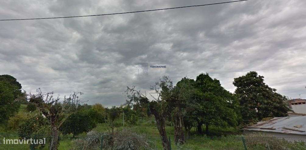 Quinta com 9788m2 de Terreno em Coruche - Grande imagem: 4/9