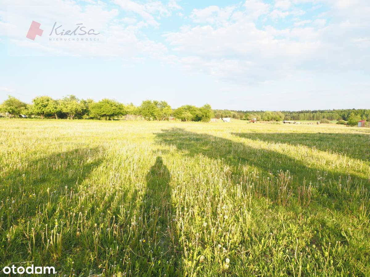 Działka budowlana, Lipiny gm. Hajnówka. - Pełny obrazek: 5/7