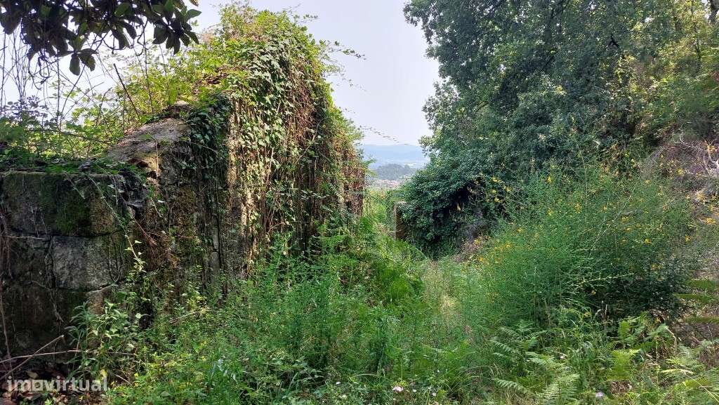 Quinta - Vila Verde - Grande imagem: 4/14