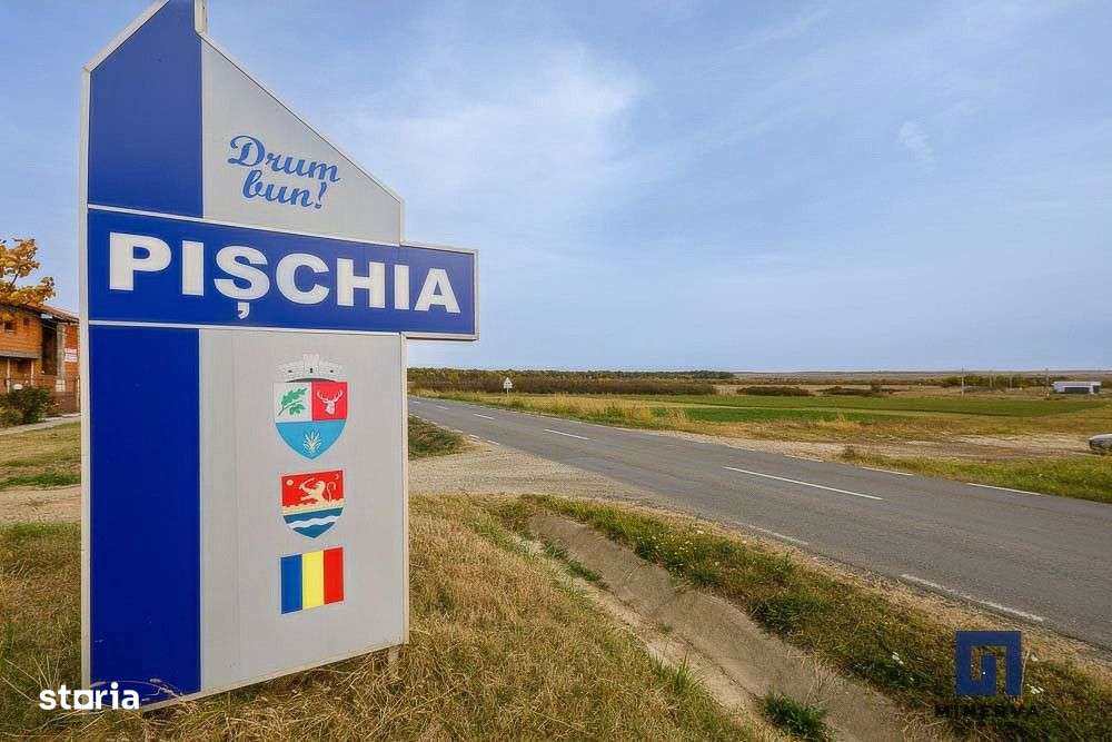 Teren ideal ca investitie, 19000 mp, in Pischia pe DJ691, comision 0-7