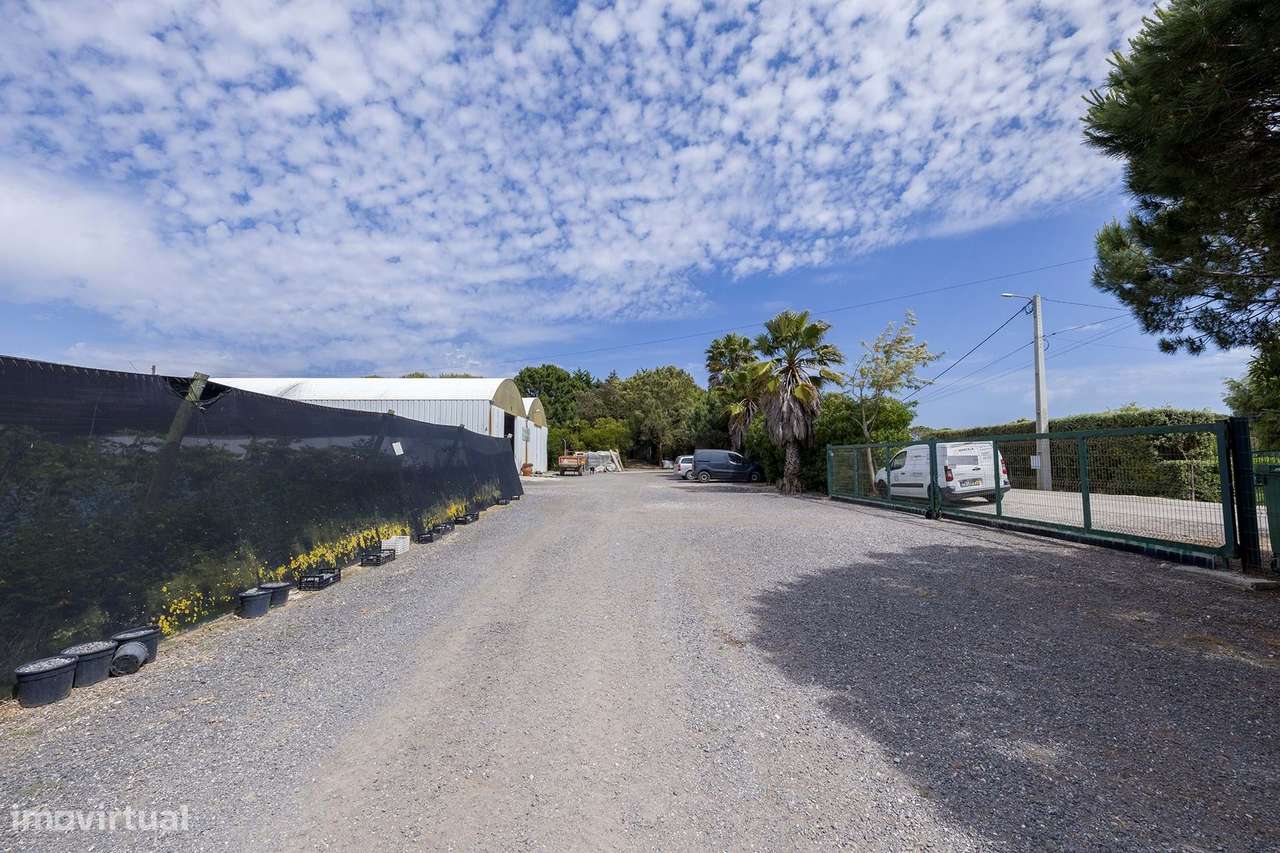 EMPRESA AGRÍCOLA PARA VENDA NO PARQUE NATURAL - Grande imagem: 5/17