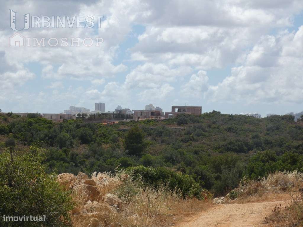 Terreno com projecto aprovado para Hotel de Turismo em Espaço Rural. - Grande imagem: 4/9