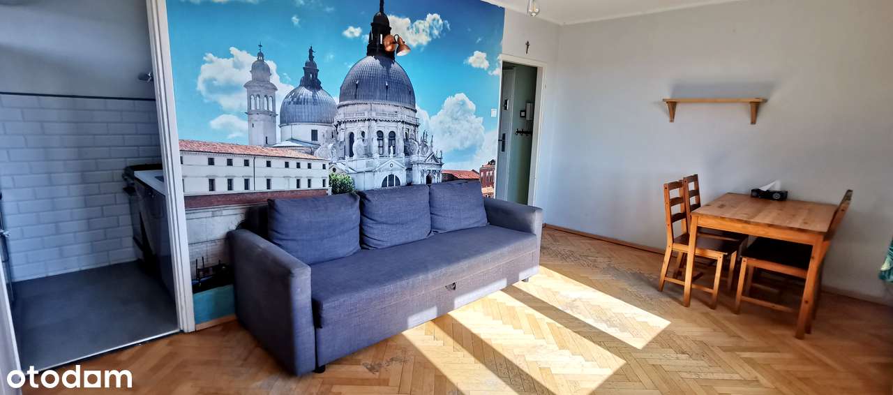 Dębiec, ul. Osinowa, kawalerka do wejścia! INWESTYCJA! - Pełny obrazek: 2/14