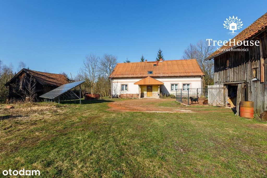 Urocze siedlisko w lesie - Pełny obrazek: 4/20