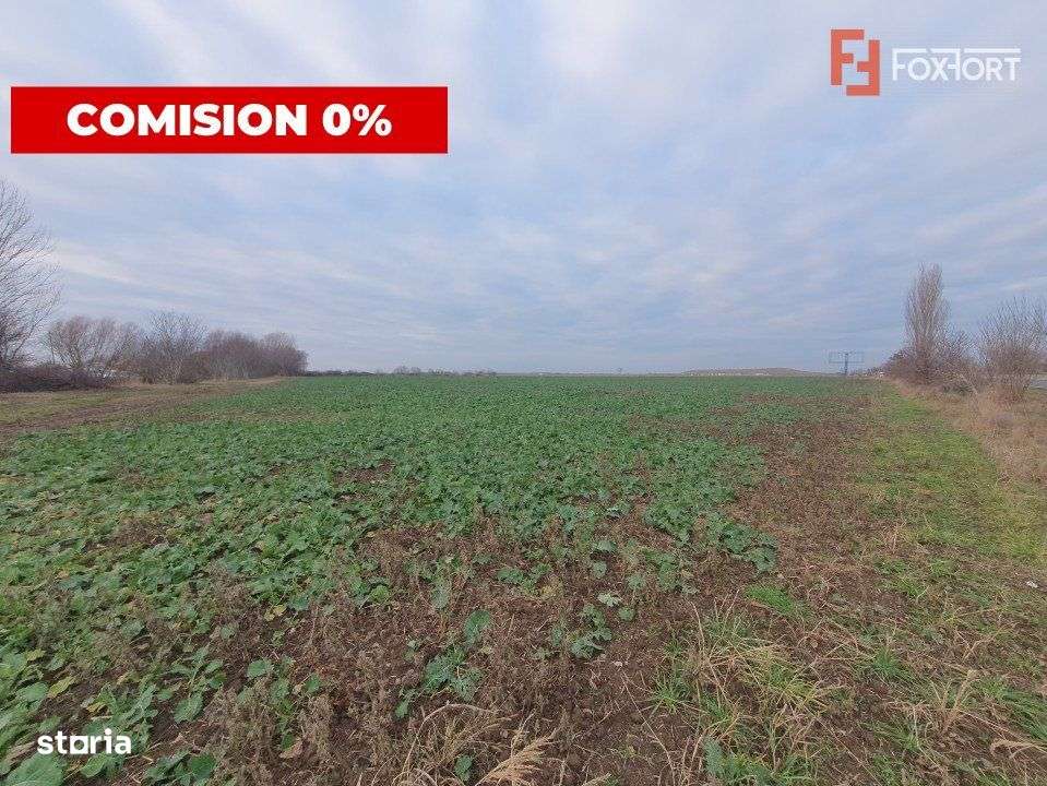 COMISION 0% Teren extravilan 20.000 mp la sosea in Sag - Imagine principală: 5/6