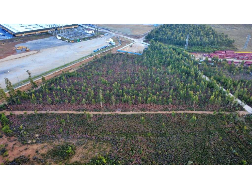 Terreno industrial em Albergaria a Velha - Grande imagem: 2/5