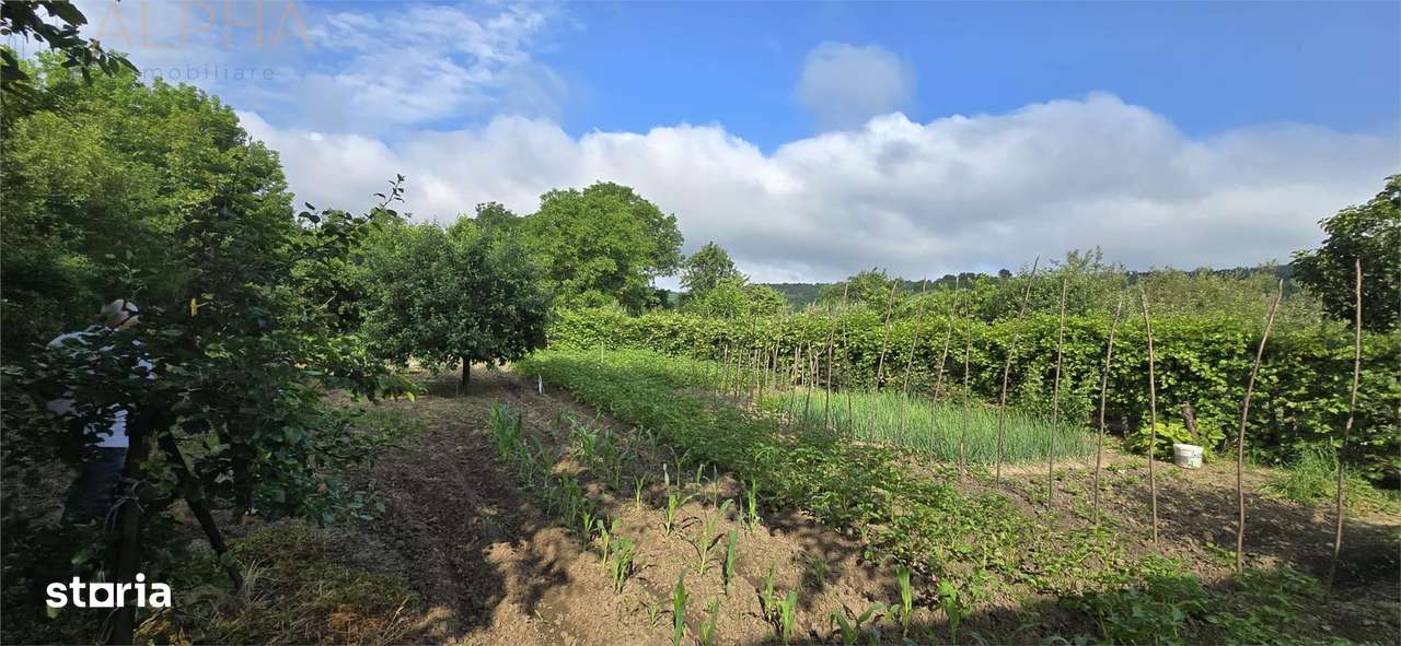 Casa de vanzare Livezile, Jud. BN - Imagine principală: 5/10