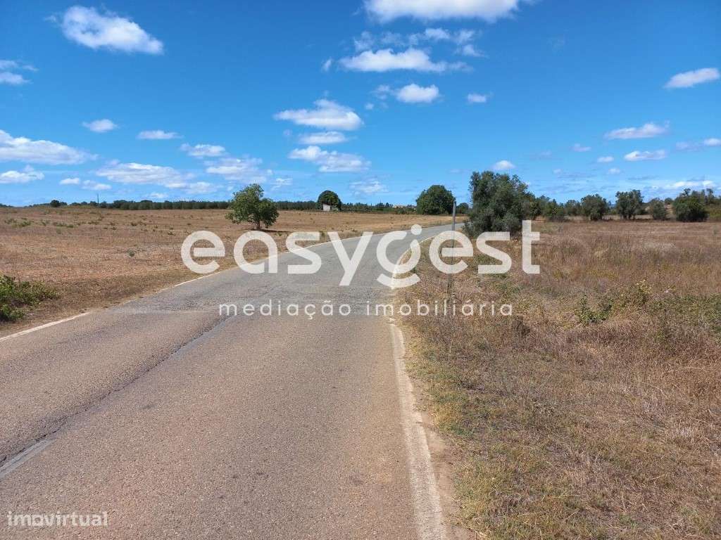 Terreno rústico com boa acessibilidade, com 18920M2 em Almoster - Grande imagem: 4/13