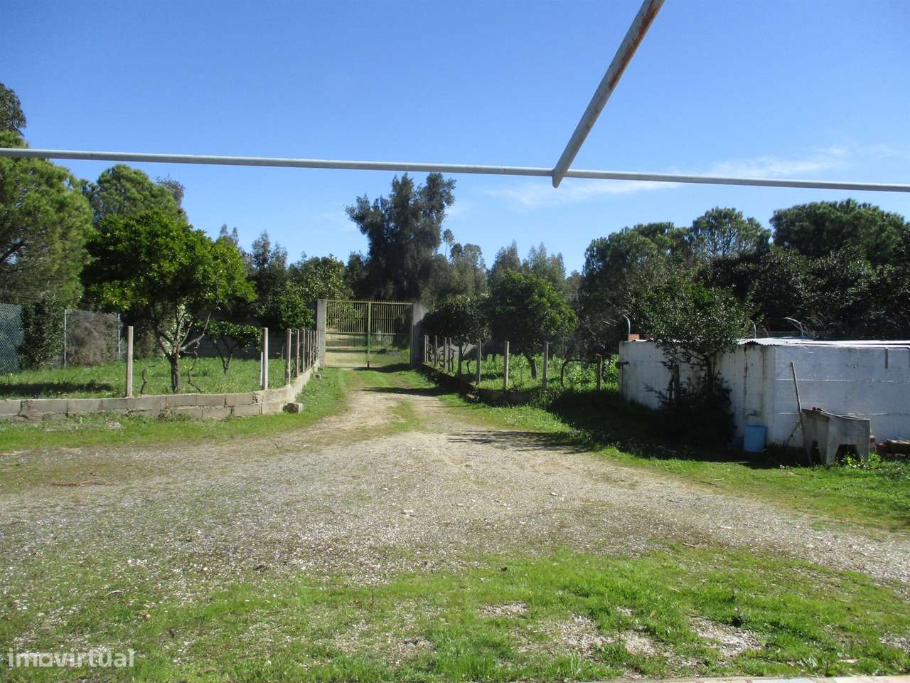 Quinta T0 Venda em Castelo Branco,Castelo Branco-8