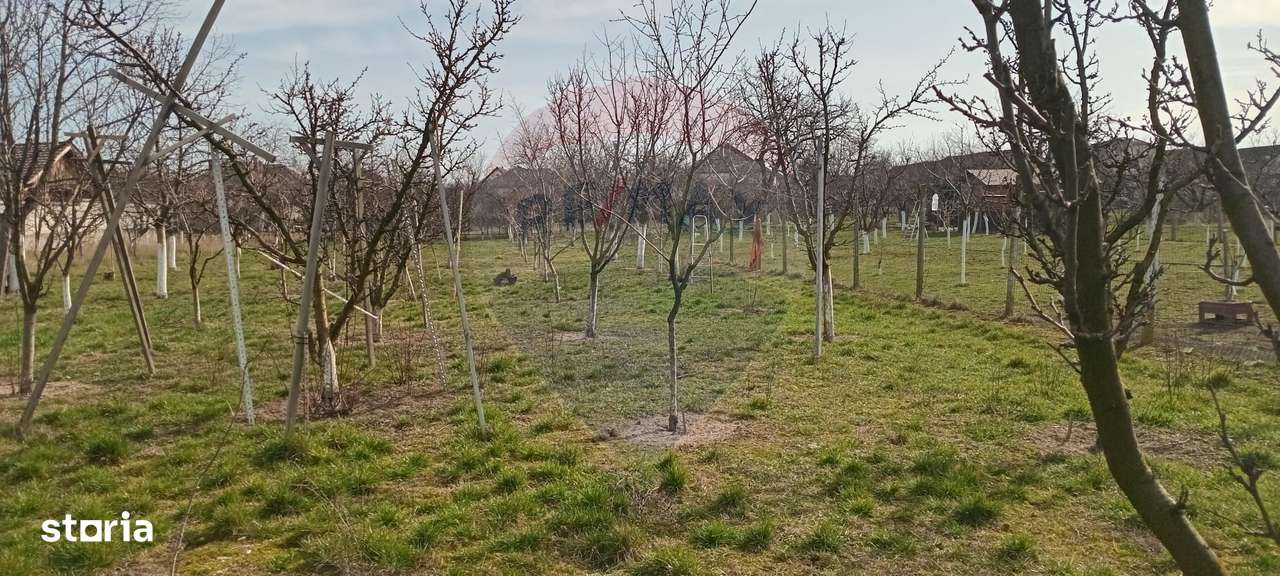 Teren Vladimirescu-  Zona Excelenta  2954 MP INTRAVILAN!!!-7