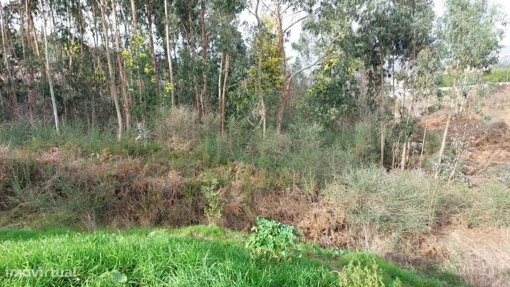 Terreno rústico - Soengas-11