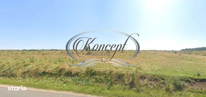 Teren intravilan in Salicea - Imagine principală: 4/4