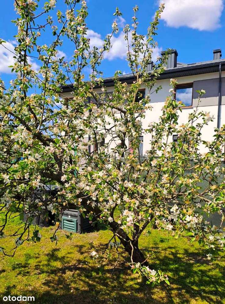 Działka z murowanym domkiem.-13