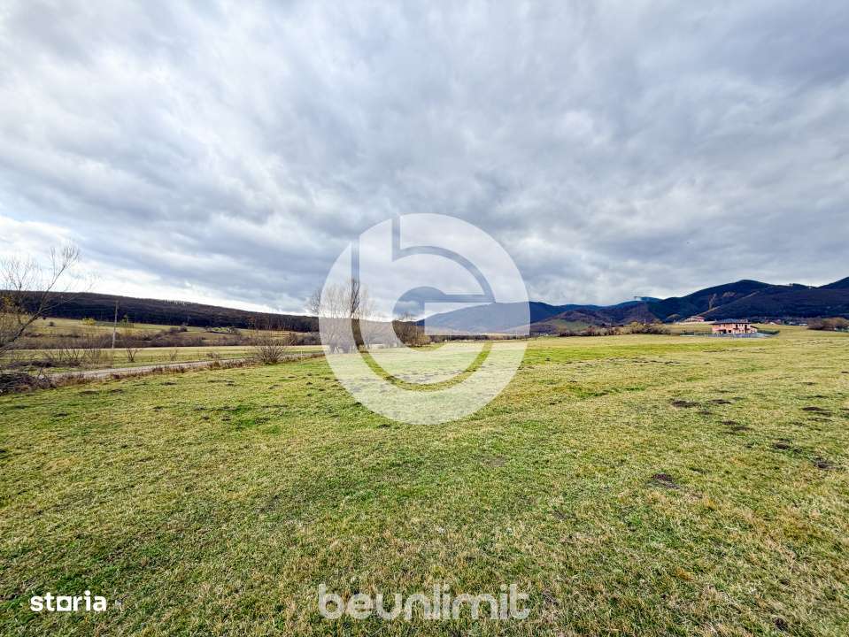 Teren intravilan in Tocile - 4354 m² - 2 fronturi - 49 euro/mp-12