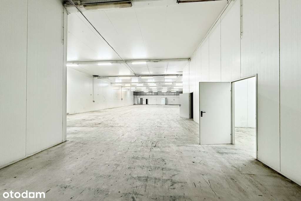 Hala produkcyjno-magazynowa z placem - Pełny obrazek: 4/7