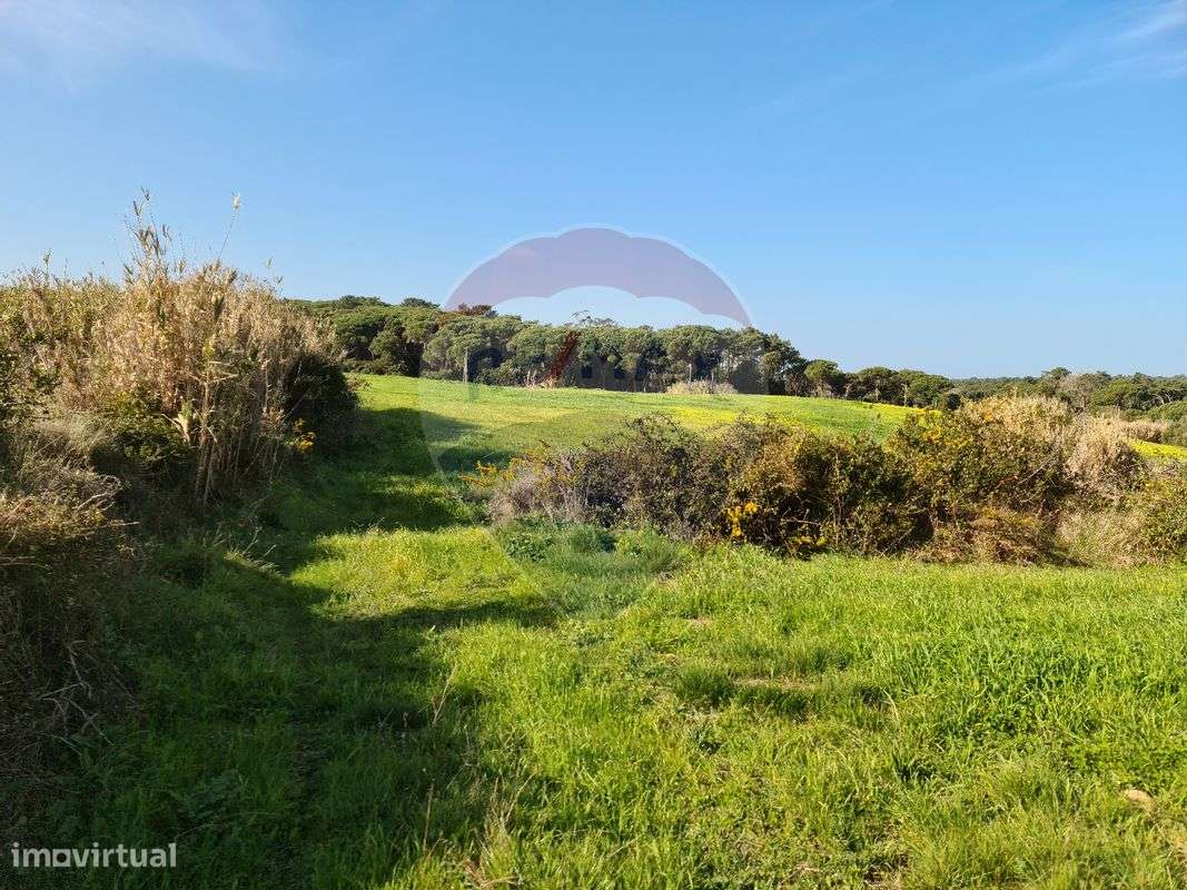 Terreno  para venda - Grande imagem: 4/20