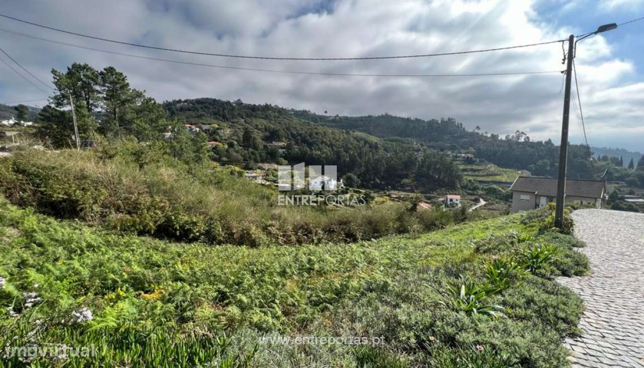 Venda Terreno, Santa Leocádia e Mesquinhata, Baião - Grande imagem: 5/30