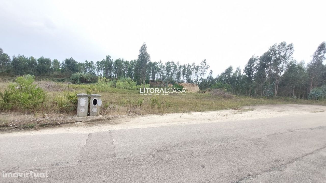 Lote de terreno p/ construção | Carregal