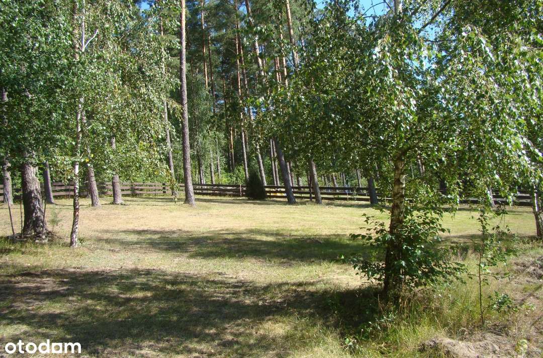 Atrakcyjna działka 1239 m² w spokojnej okolicy - Pełny obrazek: 4/6