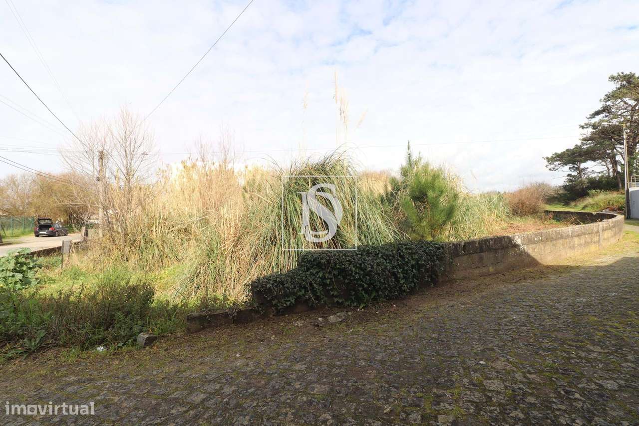 Terreno, 3 867 m², Apúlia e Fão-6