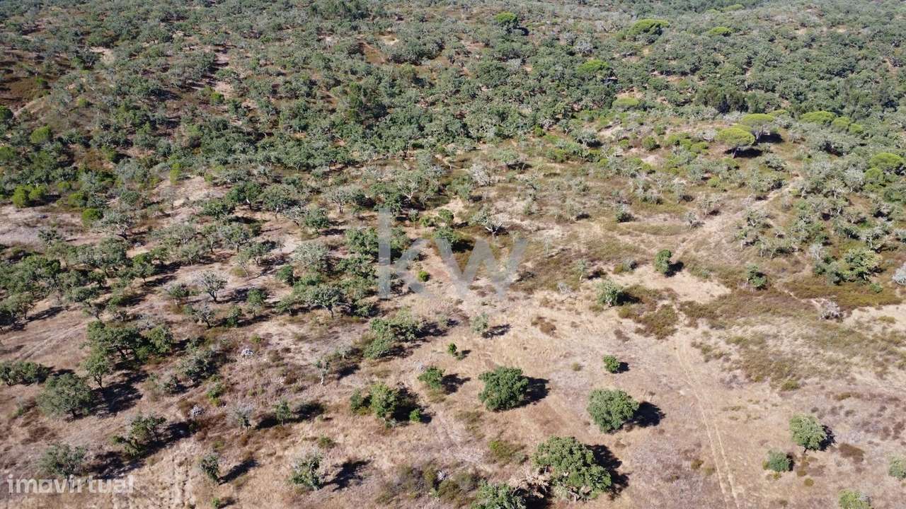 Terreno com 50 hectares, uma vista deslumbrante e inúmeras possibilida - Grande imagem: 3/15