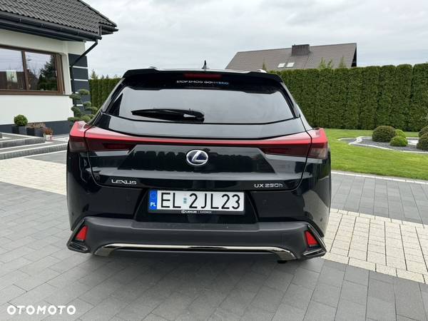 Lexus UX - 10