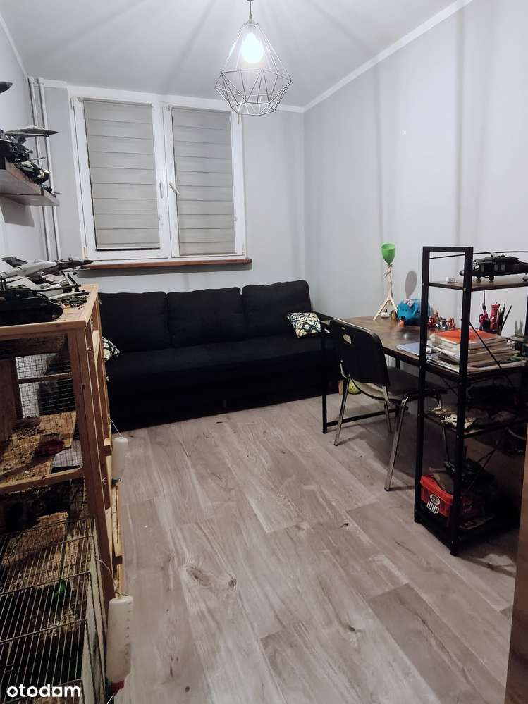 Sprzedam | parter | 2 pokoje | 37 m² | piwnica - Pełny obrazek: 5/7