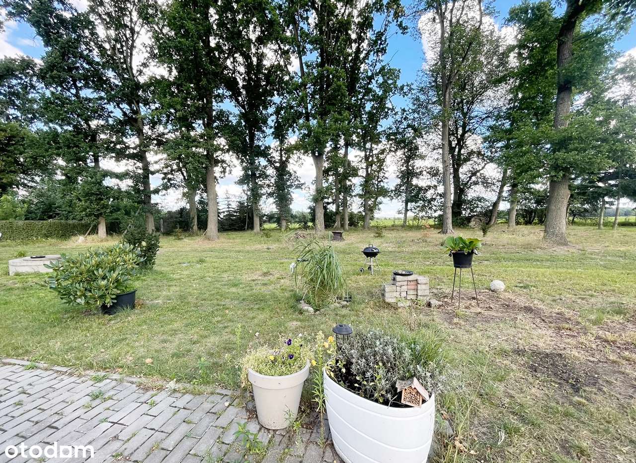 Parterowy dom na działce 4000m2 ze starodrzewiem-12