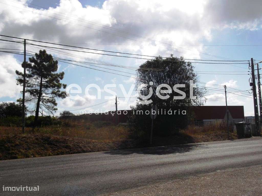 Terreno urbano perto de Tomar com 2950m2 para construção de moradia - Grande imagem: 4/14