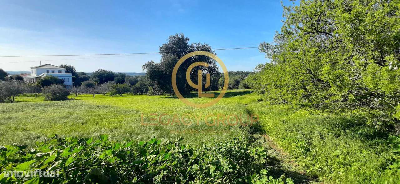 Terreno Rústico – Sítio dos Alhos, Conceição de Tavira-4