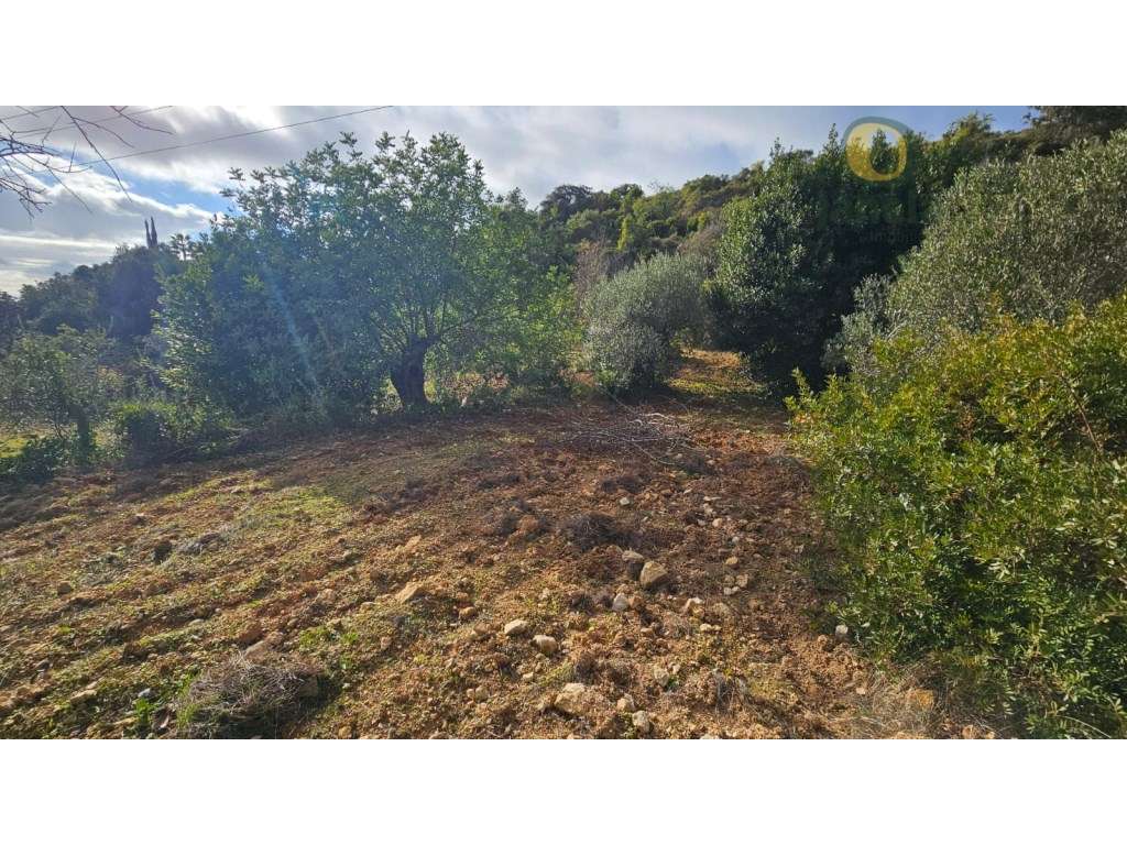 Terreno Rústico em Estoi com Poço-8