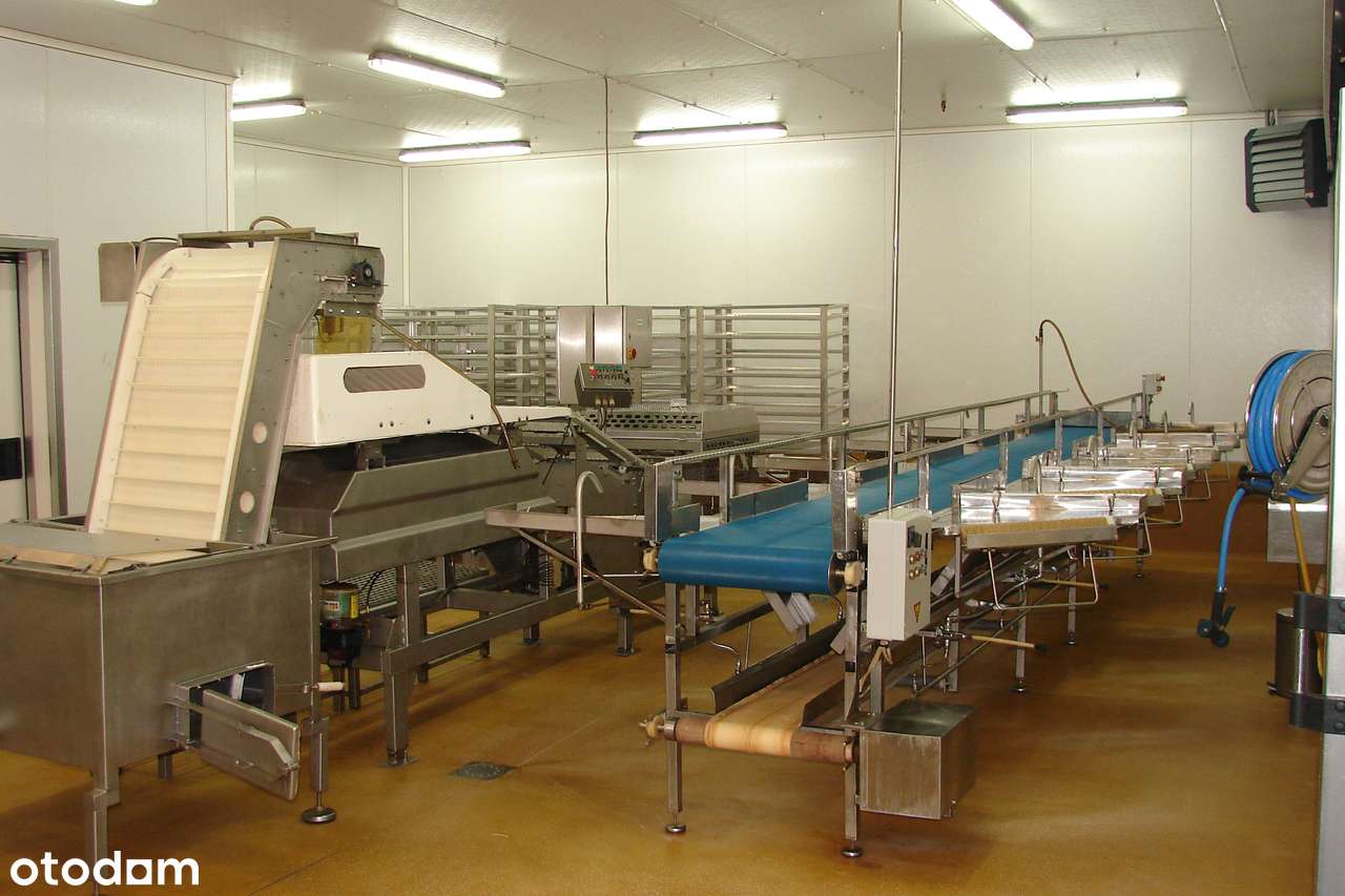 Sprzedam zakład do przetwórstwa spożywczego lub jako magazyn - Pełny obrazek: 5/16