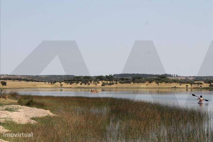 Herdade da Lameira - Country Hotel, Alter Chão, Alentejo, Portalegre,-44