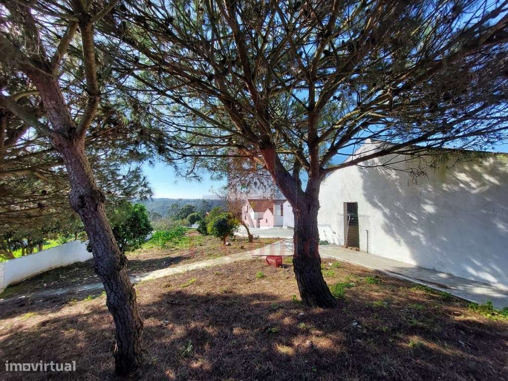 Moradia T3 em São Clemente, Alvorninha-30