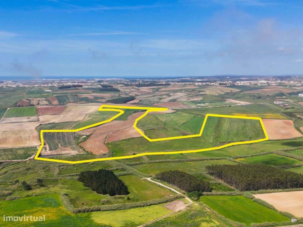 Venda de 2 Terrenos Agrícolas na zona do Paimogo, Lourinhã-25