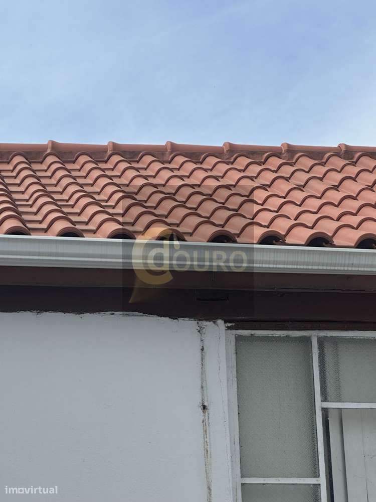 Quinta Brasonada no Douro Superior - Grande imagem: 4/20