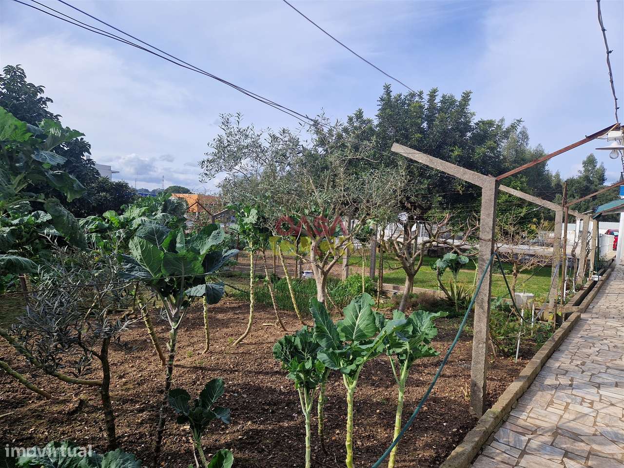 Quintinha T6 Venda em Nossa Senhora de Fátima,Entroncamento-11