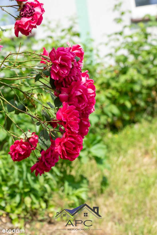 Mieszkanie parterowe z ogródkiem, garażem na osiedlu zamkniętym!-16