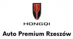 Hongqi Auto Premium Rzeszów