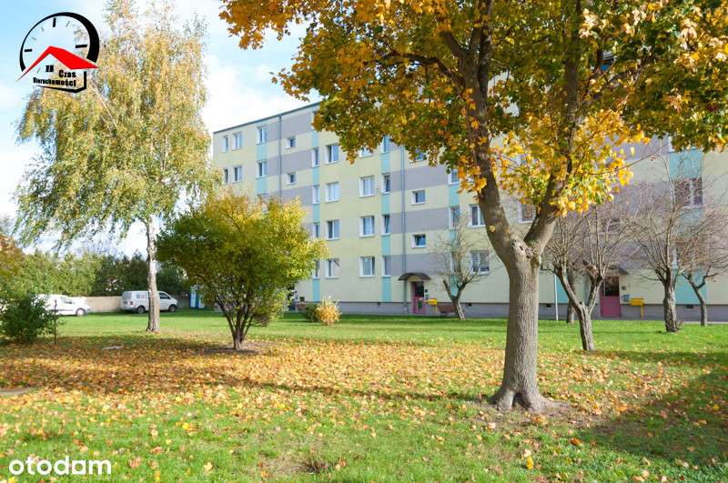 Czynsz: 500 zł! W centrum. Bezpiecznie, spokojnie. - Pełny obrazek: 3/18