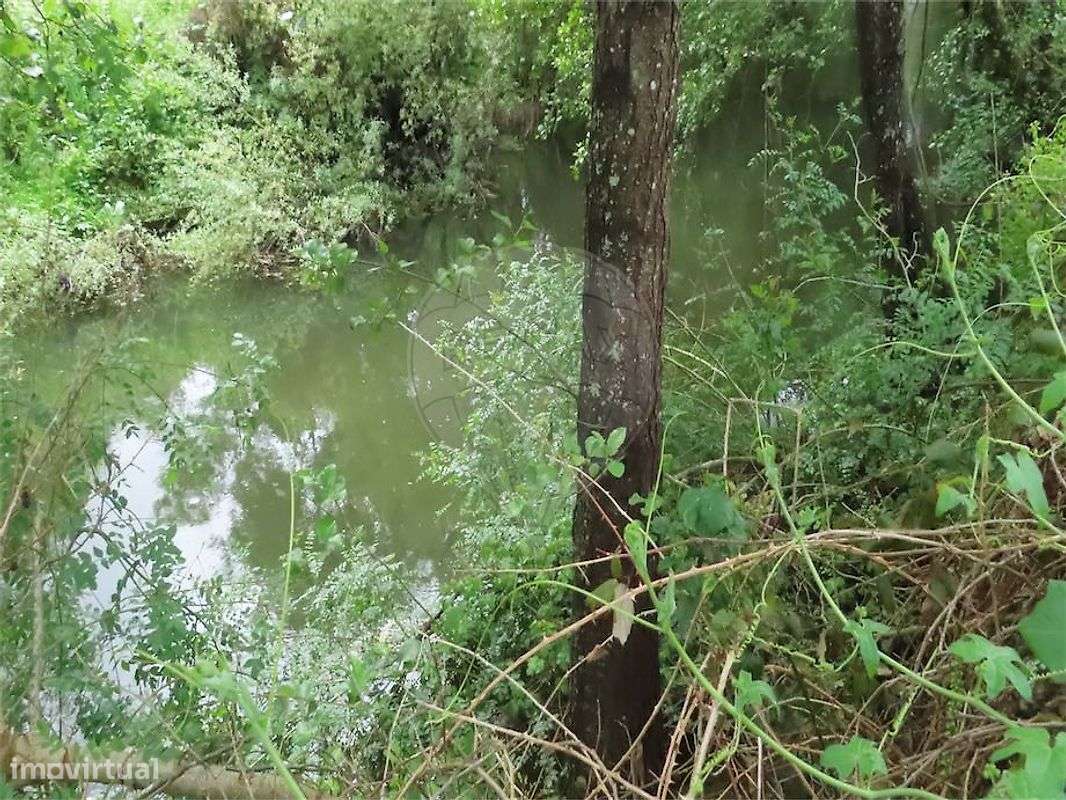 Quinta  para venda - Grande imagem: 5/29