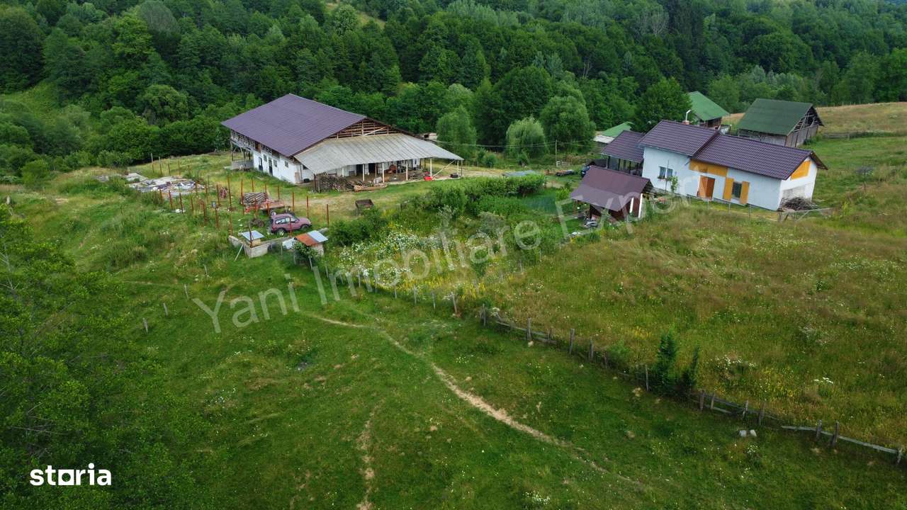 Fermă de animale + teren de vânzare în comuna Bughea de Jos, Argeș. - Imagine principală: 4/20