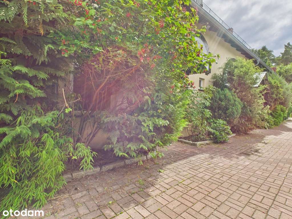 Dom ponad 400 m² RZEPIN - Pełny obrazek: 5/20