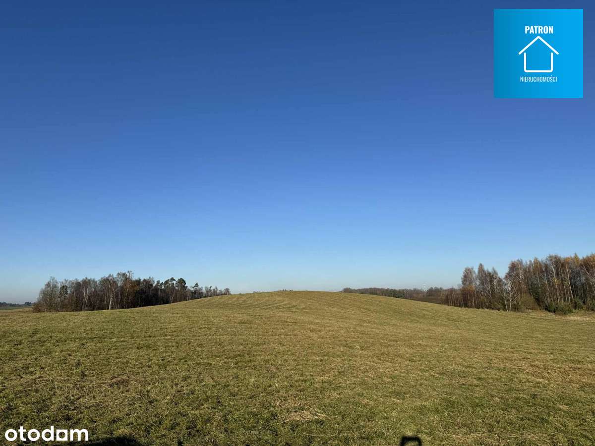 Działki budowlane w otoczeniu lasu  gmina Cewice-4