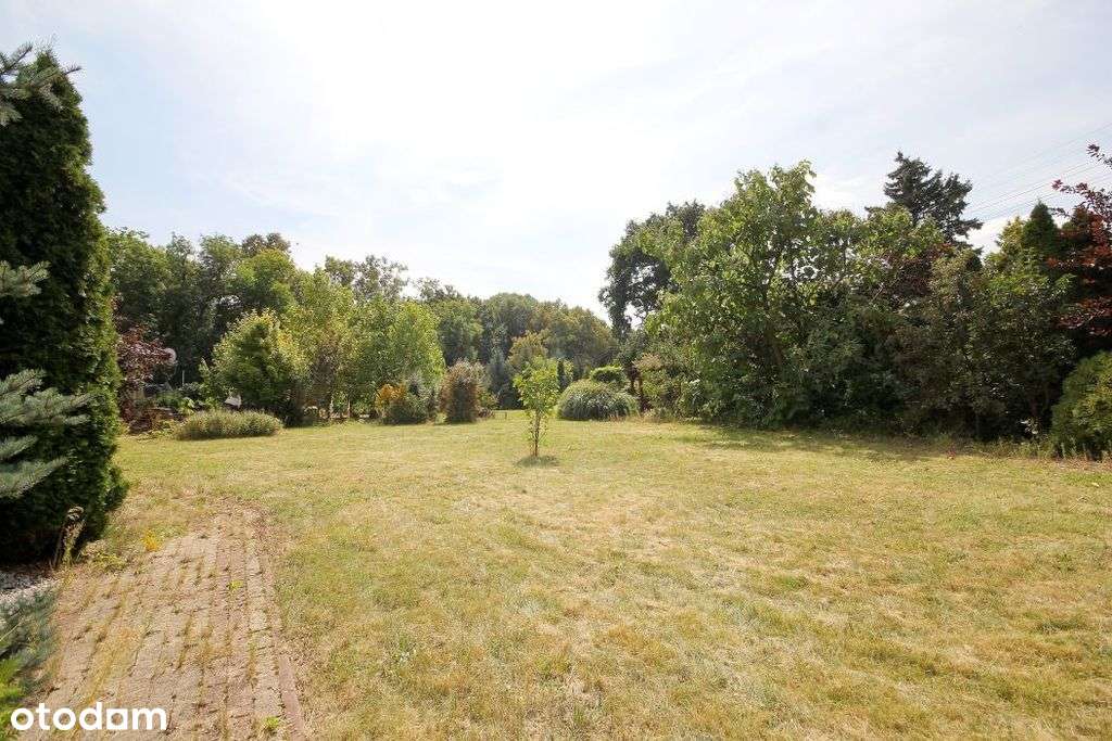 Działka budowlano-usługowa w sercu Parku - Pełny obrazek: 4/9